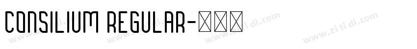 Consilium Regular字体转换